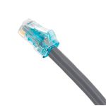 image---2024-01-19T144822.637--1-