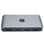 image---2024-06-05T174507--1-