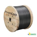 image---2024-01-15T124332.769--1-