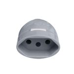 image---2024-11-12T131114.443--1-